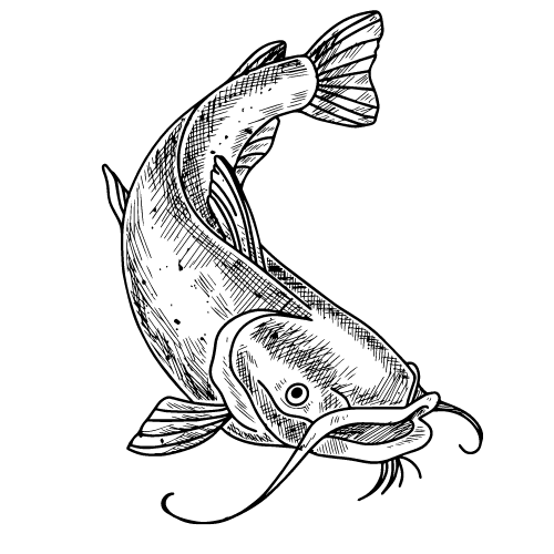 sandyscatfishsoap